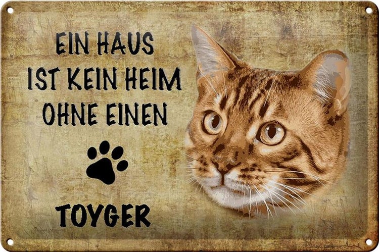 Blechschild Spruch 30x20cm Toyger Katze ohne kein Heim