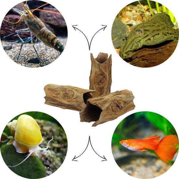 Aquarium Deko Rauer Baumstamm Höhle Röhre Aquariendeko Ablaichhöhle Barsch Fisch Krebs Wels Tonröhre Laichhöhle