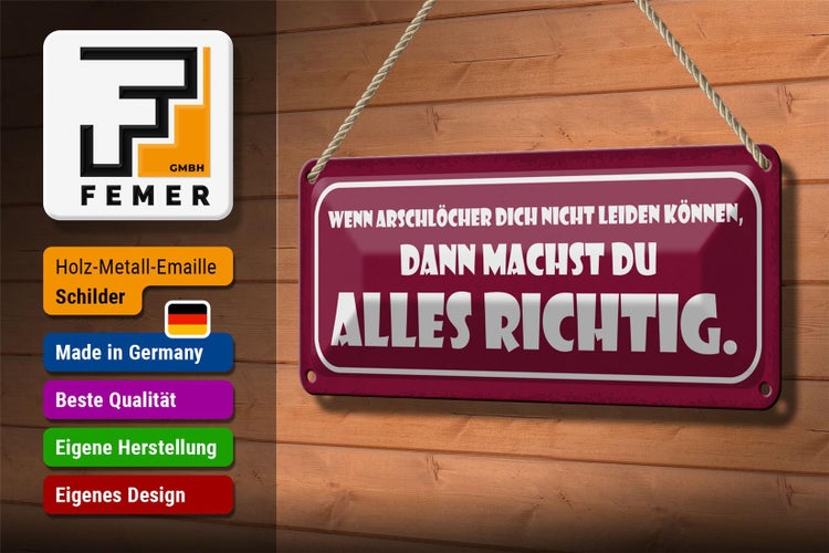 Blechschild Spruch 27x10cm wenn Arschlöcher dich nicht Dekoration