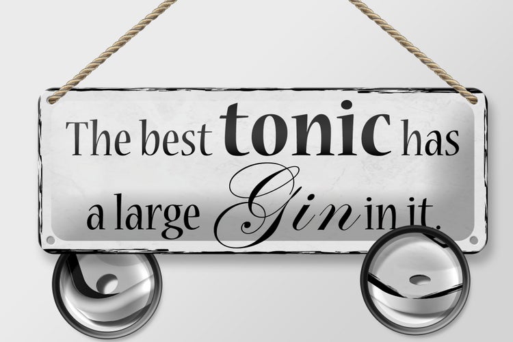 Blechschild Spruch 27x10cm best tonic has a large Gin in it Dekoration