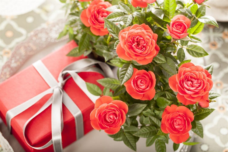 Geschenk mit Schleife neben Rosenstrauß