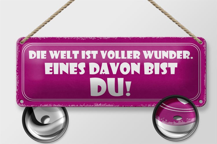 Blechschild Spruch 27x10cm Welt voller Wunder eines bist DU Dekoration