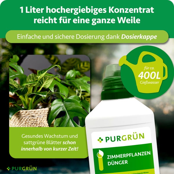 Purgrün Zimmerpflanzendünger Konzentrat 1 Liter mit Dosierkappe, reicht für circa 400 Liter Gießwasser, für gesundes Wachstum. Purgrün Logo.