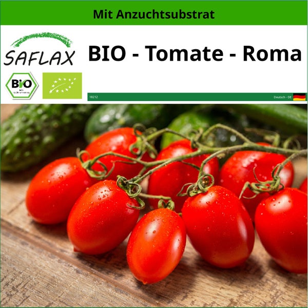 SAFLAX  - BIO - Tomate - Roma - Solanum lycopersicum - 15 Samen - Mit keimfreiem Anzuchtsubstrat