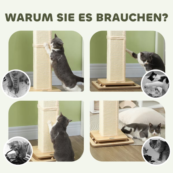 Collage mit Katzen und einem Kratzbaum mit Sisalstamm, um die Notwendigkeit eines Kratzbaums zu veranschaulichen.