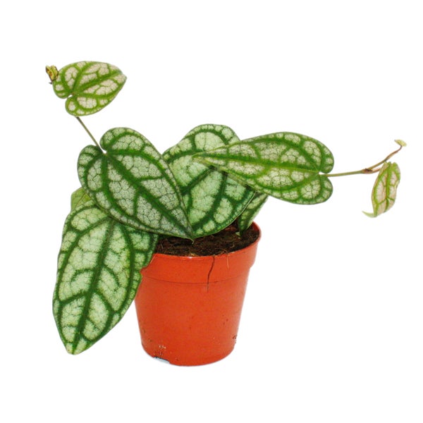 Deckeneinbaustrahler für den Innenbereich