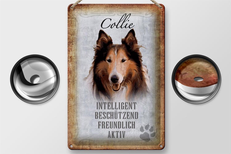 Blechschild Spruch 20x30cm Collie Hund freundlich Schild