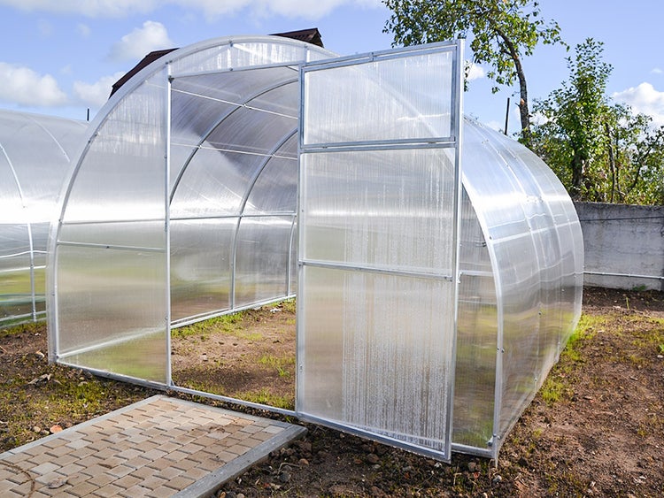 Gewächshaus mit geöffneter Tür im Garten