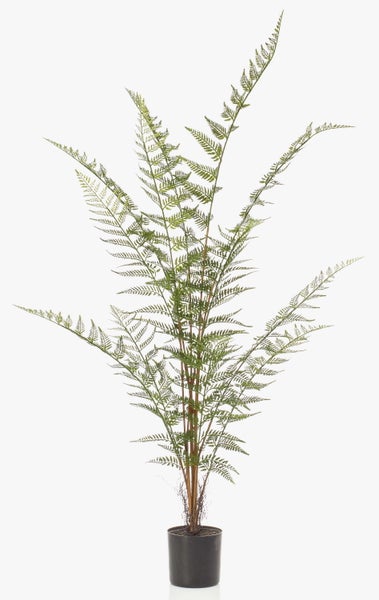 Künstlicher grüner Farnzweig mit fein gefiederten Blättern zur Dekoration.