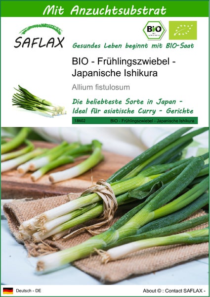SAFLAX  - BIO - Frühlingszwiebel - Japanische Ishikura - Allium fistulosum - 150 Samen - Mit keimfreiem Anzuchtsubstrat