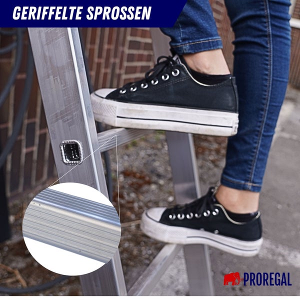 Person auf einer Leiter mit geriffelten Sprossen. Prorogal Logo.