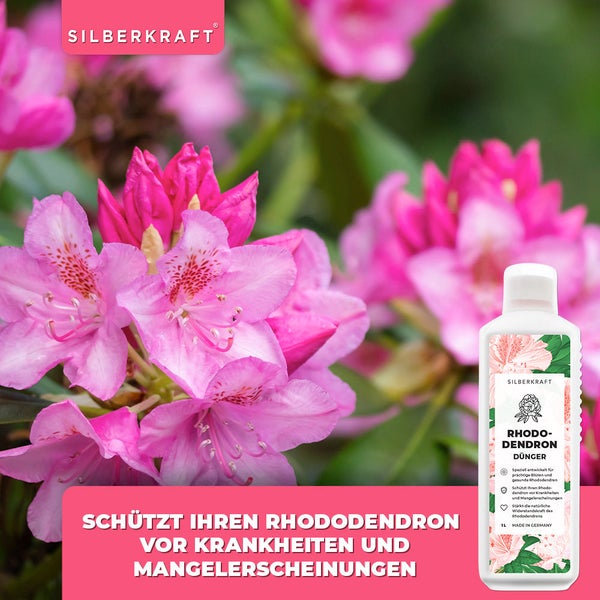 SILBERKRAFT Rhododendron Dünger – Für Rhododendren & Azaleen – 1 Liter