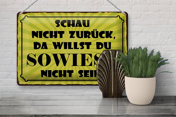 Blechschild Spruch 30x20cm schau nicht zurück
