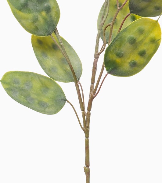 Künstlicher Zierlauch mit kugelförmigem Blütenkopf und grünem Stiel.