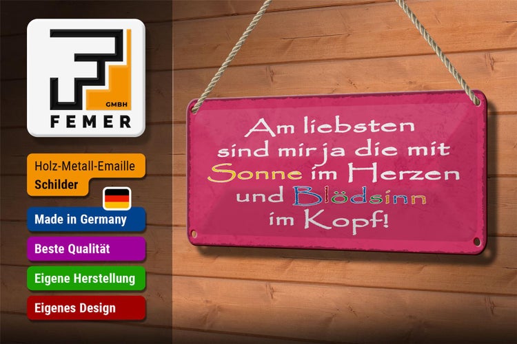 Blechschild Spruch 27x10 cm am liebsten sind die mit Sonne Dekoration