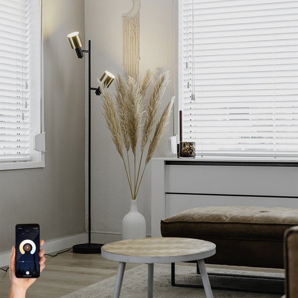 Smarte Stehleuchte schwarz mit Gold inkl. 2 Wifi A60 - Stijn