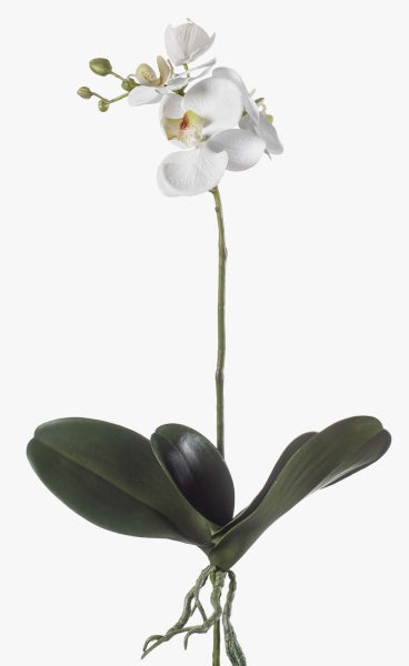 Künstliche Orchidee mit weißen Blüten, grünen Blättern und Wurzeln.