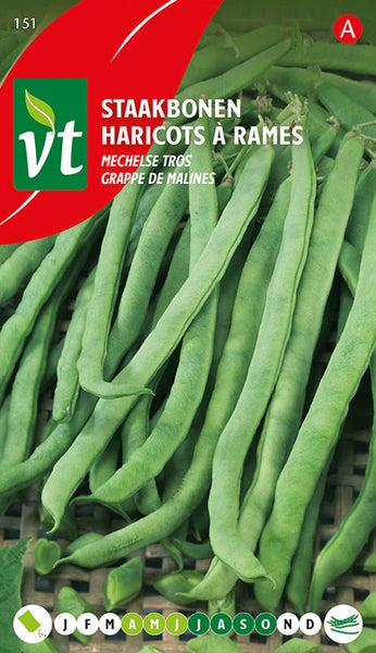 Stangenbohnen-Samenpackung