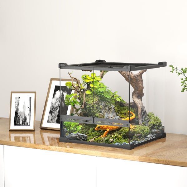 Terrarium mit Dekoration und Echse auf einem Tisch