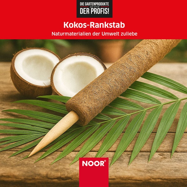 Kokos-Rankstab - Ø 7 cm x 180 cm - verlängerbare Rankhilfe mit Holzstiel - 100 % Naturmaterial - stabile Kletterhilfe für Pflanzen, dekorativ & nachhaltig