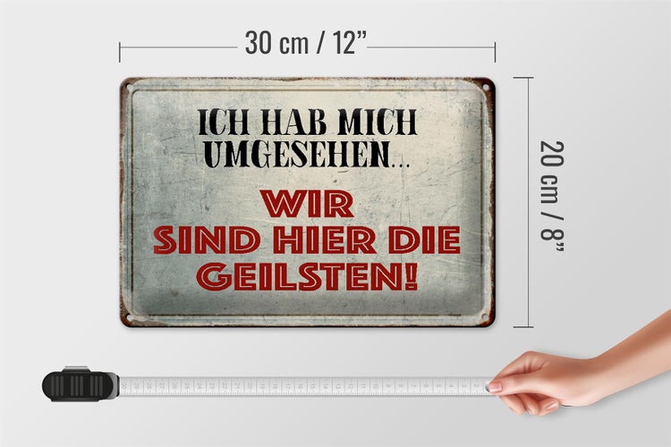 Blechschild Spruch 30x20cm wir sind die Geilsten Schild