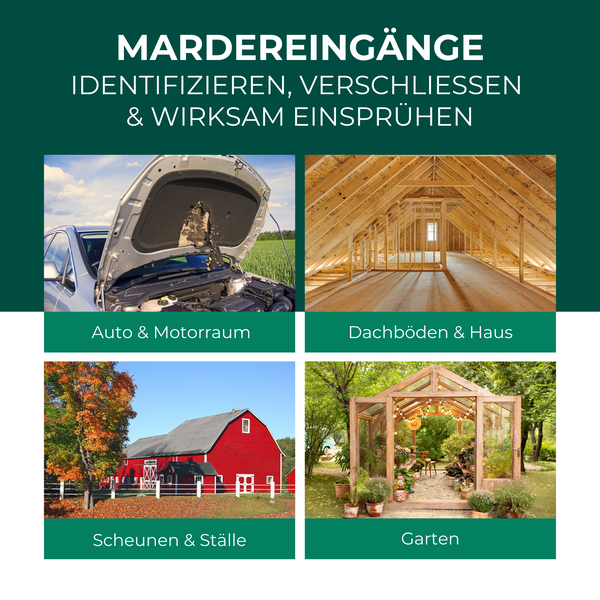 Silberkraft Marderspray 500ml, Effektiver Sofort- & Langzeitschutz gegen Marder im Auto, Dachboden & Haus, Verhindert Marderbisse an Kabeln & Schläuchen , Überdeckt Duftmarken für nachhaltige Abwehr
