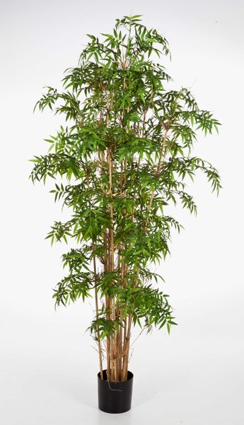 Künstlicher Bambus im schwarzen Kunststofftopf mit dichten grünen Blättern und naturgetreuen Halmen.