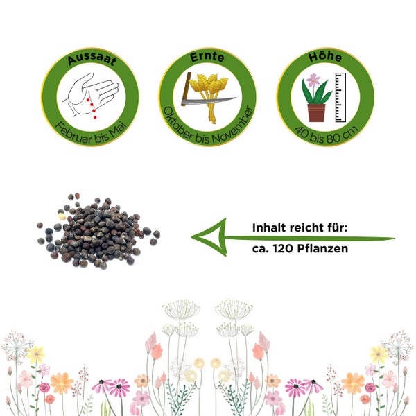 Aussaat Februar bis Mai, Ernte Oktober bis November, Höhe 40 bis 80 Zentimeter, Inhalt für circa 120 Pflanzen.
