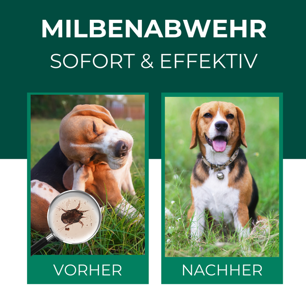 Silberkraft Milbenspray Hund 500 ml, Effektiver Schutz gegen Milben, Milbenschutz für Hunde, Anti-Milben-Mittel für Fell & Schlafplätze