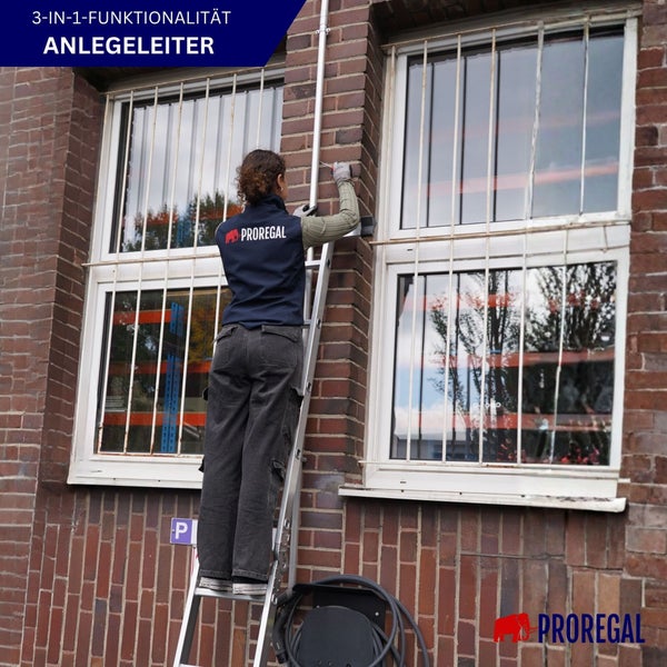 Eine Person steht auf einer Anlegeleiter und arbeitet an der Hauswand neben einem Fenster. Prorogal Logo