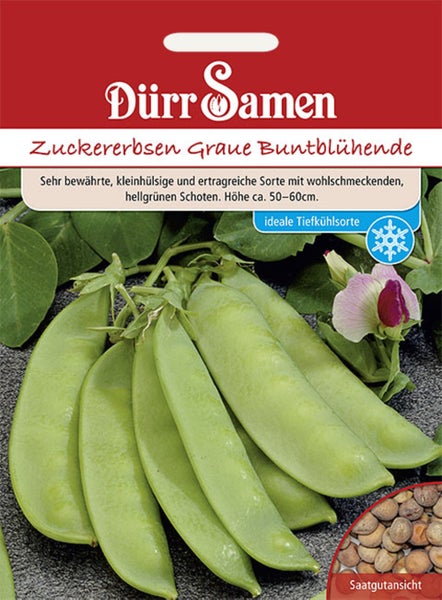 Dürr Samen Logo. Zuckererbsen Graue Buntblühende. Schoten, Blüte und Saatgut. Frostgeeignet, Wuchshöhe circa 50 bis 60 Zentimeter.