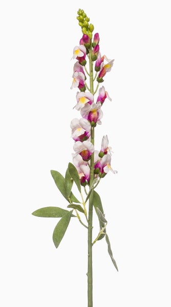 Kunstblume Löwenmäulchen LIMORG, Creme-pink, 80cm - Künstliche Blume
