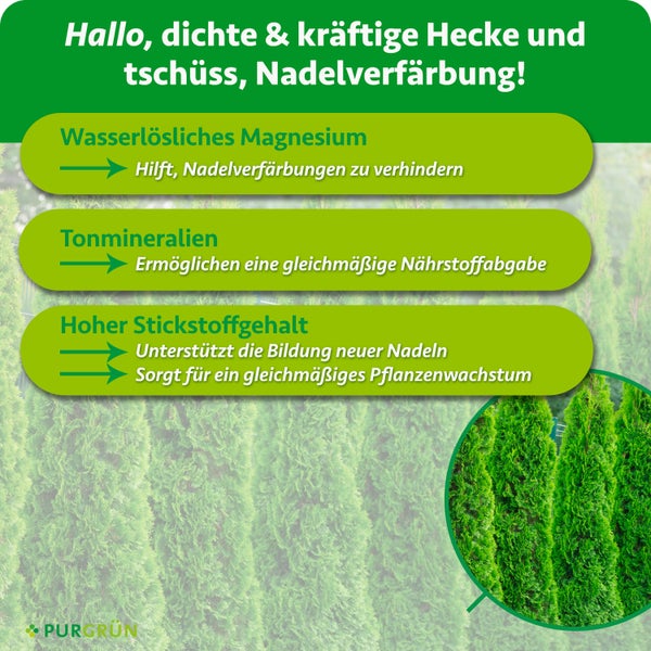 Infografik zum Purgrün Heckendünger mit Angaben zu Magnesium Tonmineralien und Stickstoffgehalt für dichte Hecken und gesunde Nadeln.