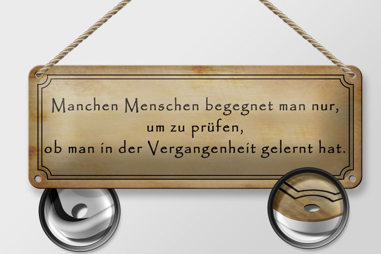 Blechschild Spruch 27x10cm manche Menschen begegnet man nur Dekoration