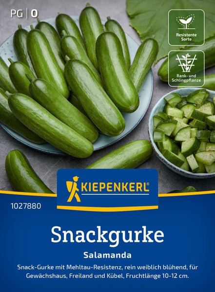 Kiepenkerl Snackgurke Salamanda Samen mit Mehltauresistenz für Gewächshaus Freiland und Kübel 10 bis 12 Zentimeter Fruchtlänge