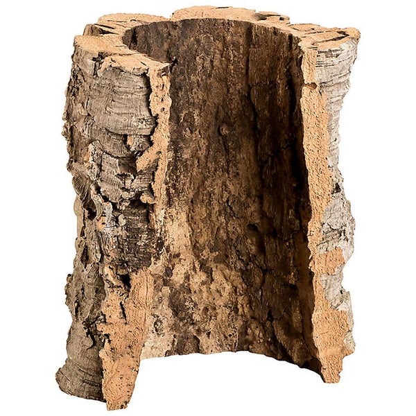 Naturbelassene Korkröhre für Terrarien, hohler Baumstammabschnitt mit rauer Rindenoberfläche.