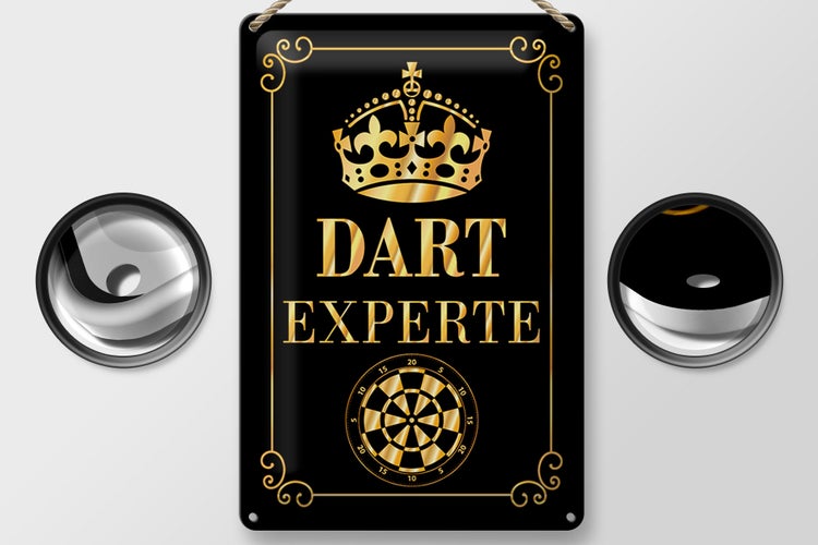 Blechschild Spruch 20x30cm Dart Experte Krone