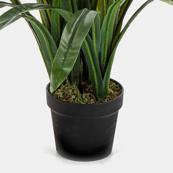Zwei künstliche Agapanthus-Pflanzen mit weißen kugelförmigen Blüten und langen grünen Blättern in schwarzen Kunststofftöpfen.