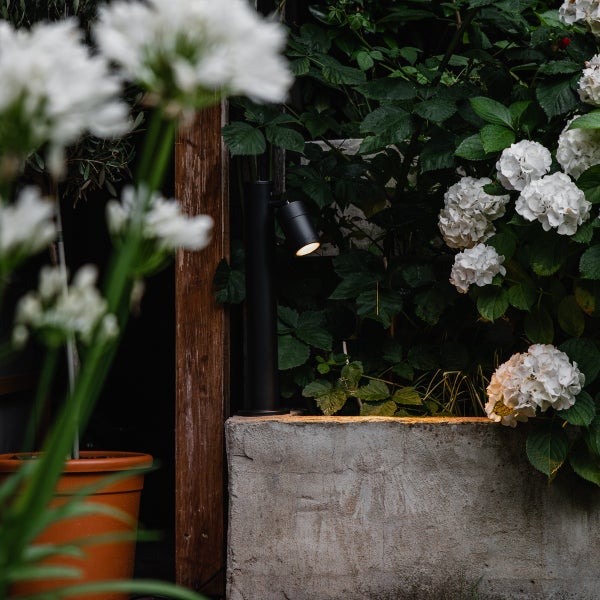 Schwarzer Gartenstrahler auf einer Betonmauer in einem Garten mit weißen Hortensien.