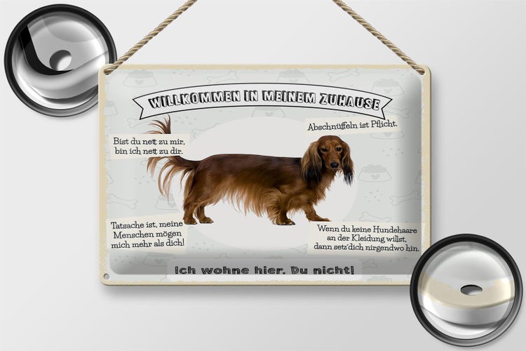 Blechschild Spruch 30x20cm Tiere Hund ich wohne hier du nicht