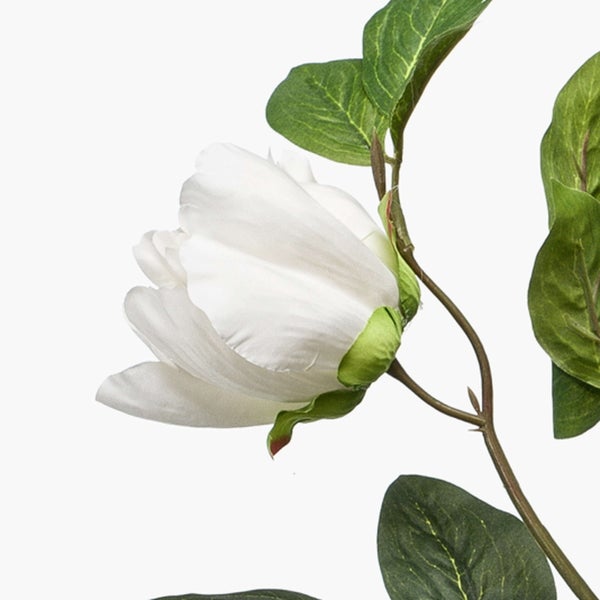 Künstliche Magnolie mit weißer Blüte und grünen Blättern.
