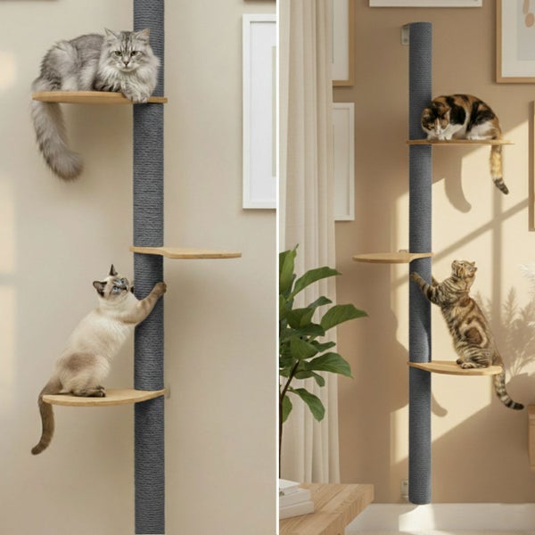 Wandkratzbaum mit Sisalsäule und Holzplattformen zur Wandmontage für Katzen in einem Wohnraum.