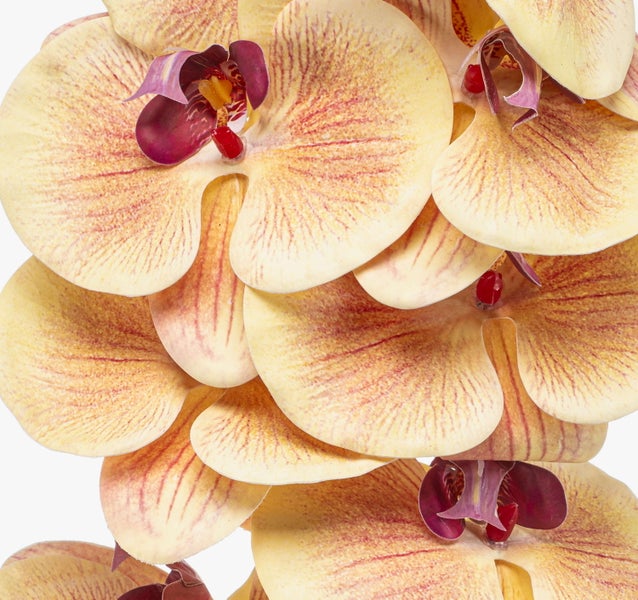 Nahaufnahme einer künstlichen Orchidee mit gelben Blütenblättern und rötlicher Maserung.