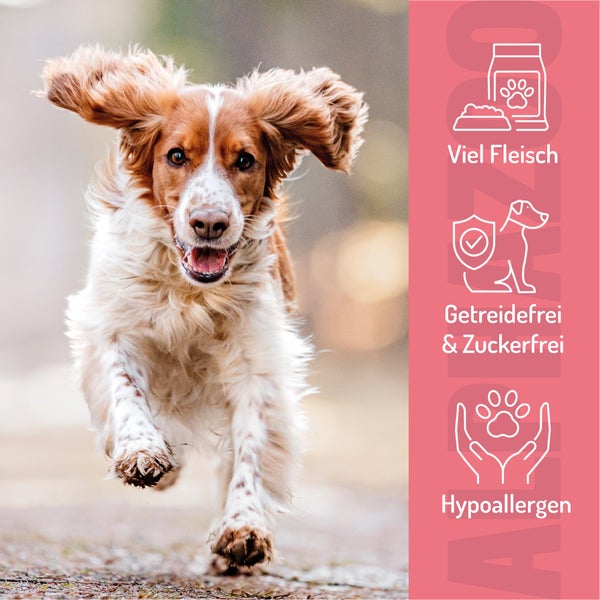 Ein laufender Hund, der für Hundefutter wirbt: viel Fleisch, getreide- und zuckerfrei, hypoallergen