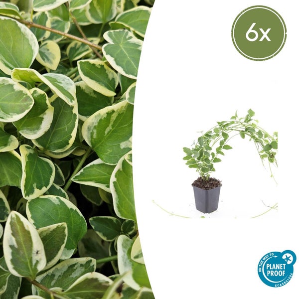 Dekorative Gartenstele aus Metall mit Blumen- und Schmetterlingsmotiven