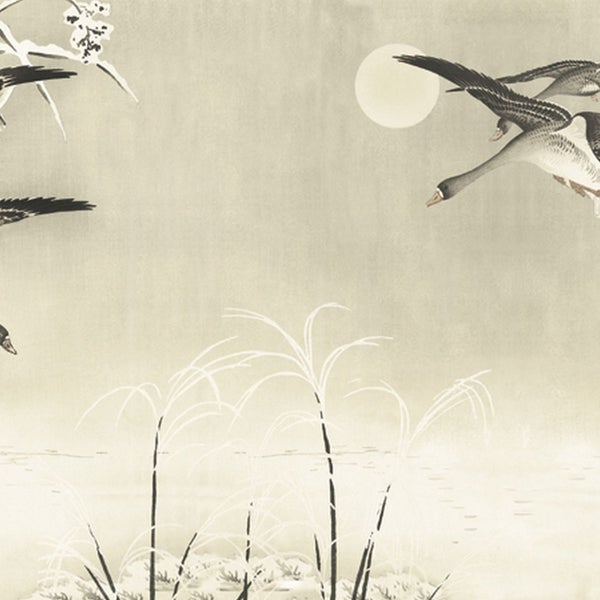 Illustration von fliegenden Gänsen über Schilf unter einem Vollmond.