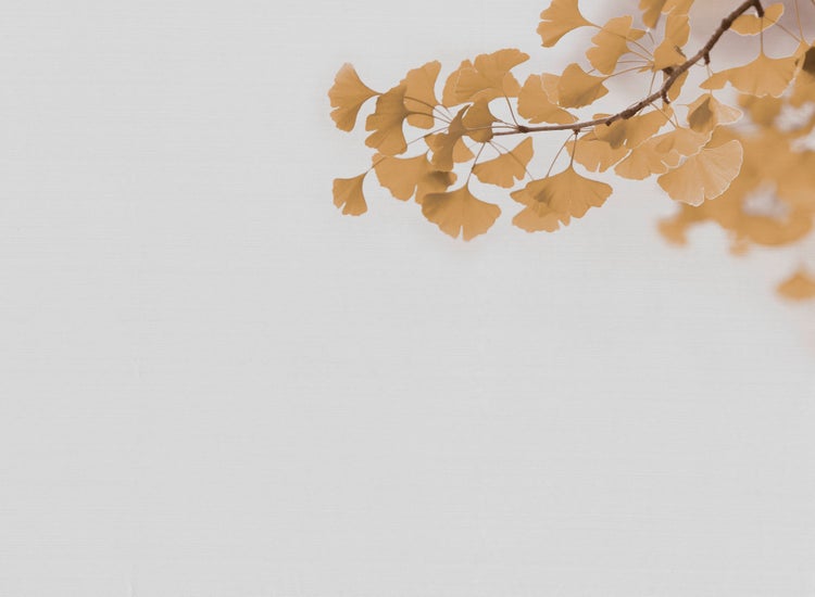 Vliestapete mit gelbem Ginkgoblatt-Motiv.