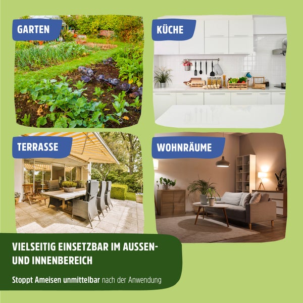 Ameisenspray | Ameisen Mittel mit Langzeitwirkung