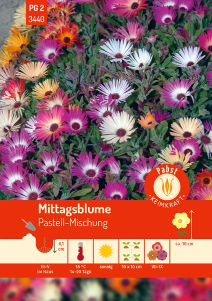 Pabst Keimkraft Logo. Mittagsblume. Bunte Blüten. Aussaat März bis Mai, 18 Grad Celsius, sonnig, Blüte Juli bis September, Höhe circa 10 Zentimeter.