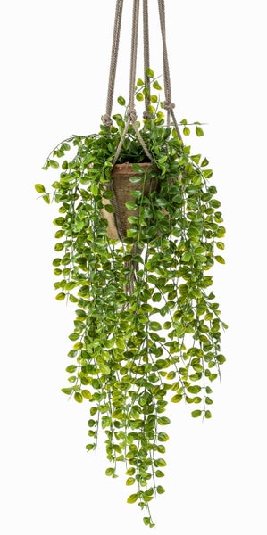 Künstliche Hängepflanze im Topf mit Juteseil zum Aufhängen.
